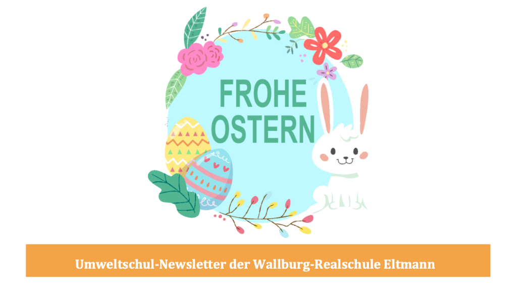 Umweltschul-Newsletter der Wallburg-Realschule Eltmann