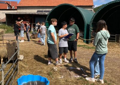 Auf Entdeckungstour auf ELA‘S HOF – die 6. Klassen erleben Landwirtschaft hautnah