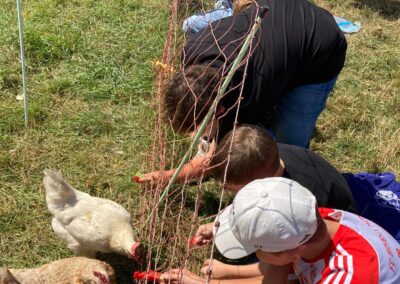 Auf Entdeckungstour auf ELA‘S HOF – die 6. Klassen erleben Landwirtschaft hautnah