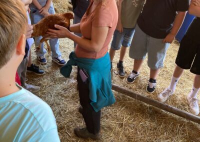 Auf Entdeckungstour auf ELA‘S HOF – die 6. Klassen erleben Landwirtschaft hautnah