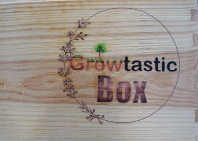 Growtastic Box: Erfolgreiches Geschäftsjahr mit großer Spende abgeschlossen